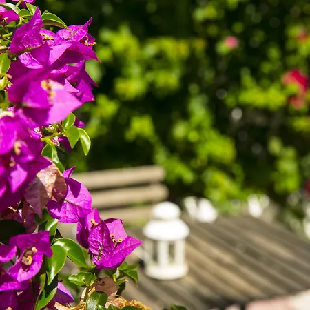 54 Santa Catarina Lisboa