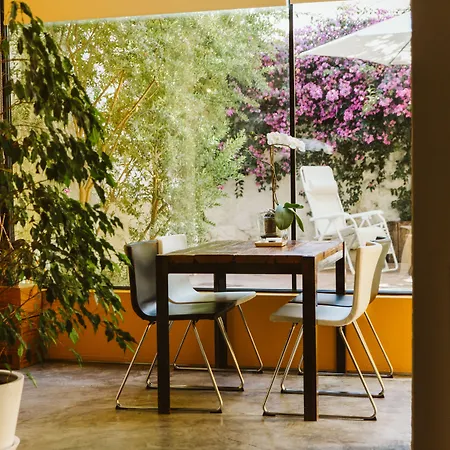 54 Santa Catarina Apartments Apartment